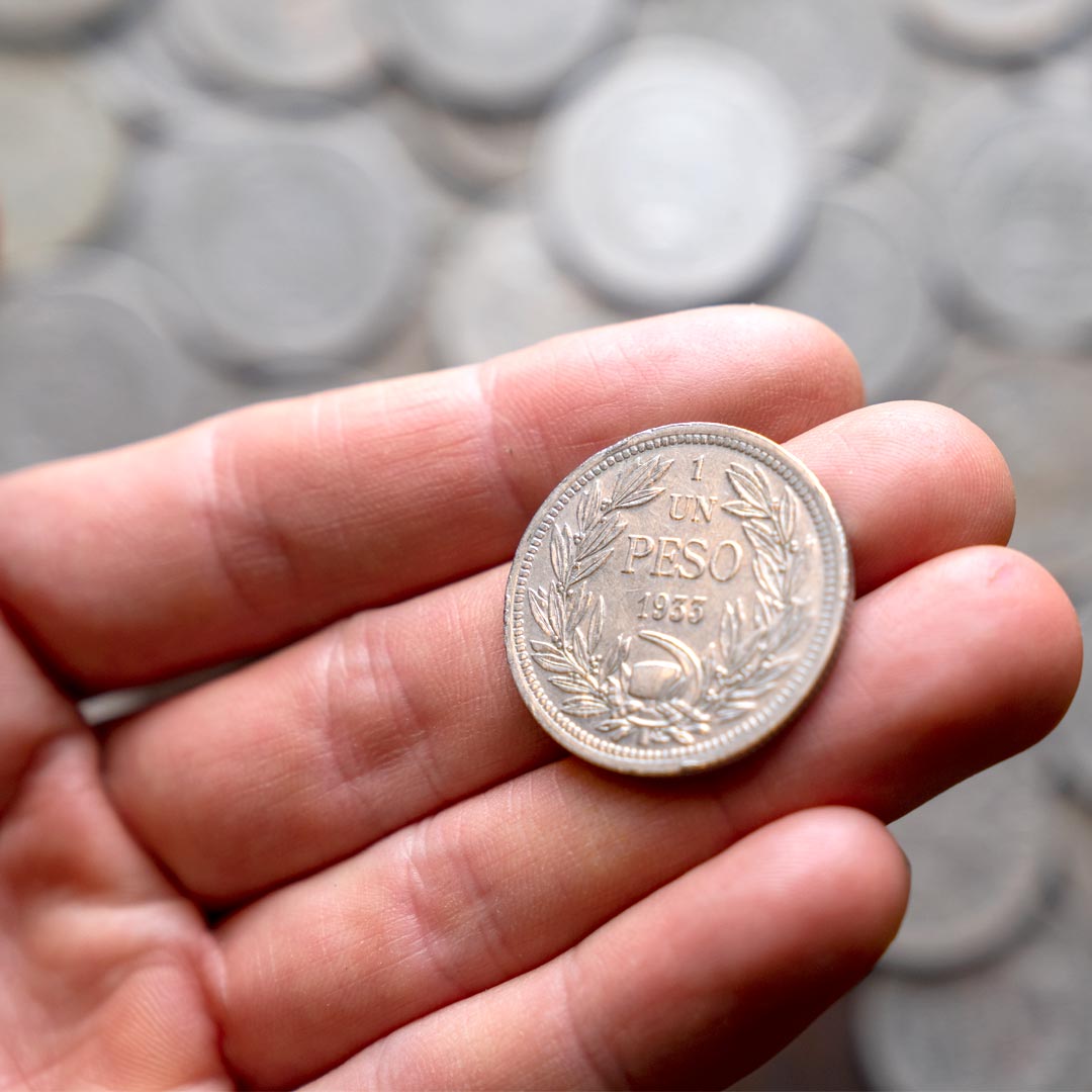 "Saga Ancestros" completa - Imagen 6